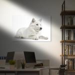 Majestic White Wolf Tempered Glass Print, Modern Home Decor, HD Quality Decoration
