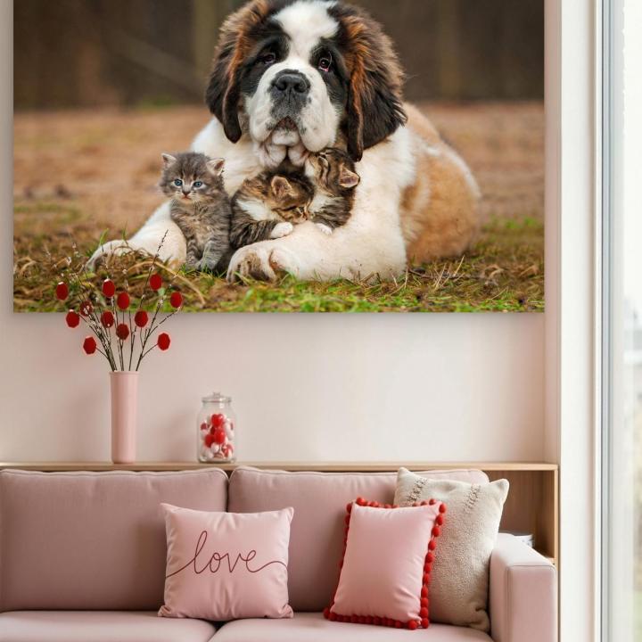 Saint Bernard Dog Kittens Tempered Glass Wall Art, Heartwarming Animal Decor