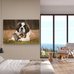 Saint Bernard Dog Kittens Tempered Glass Wall Art, Heartwarming Animal Decor