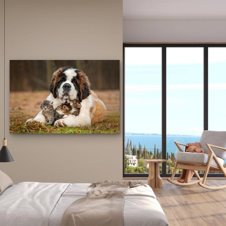 Saint Bernard Dog Kittens Tempered Glass Wall Art, Heartwarming Animal Decor