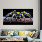 Jumping Spider Tempered Glass Wall Art, Macro Insect Portrait, Blue Orange Fangs