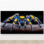 Jumping Spider Tempered Glass Wall Art, Macro Insect Portrait, Blue Orange Fangs